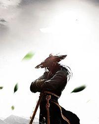 诸天武道