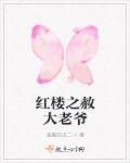 红楼之大老爷吉祥
