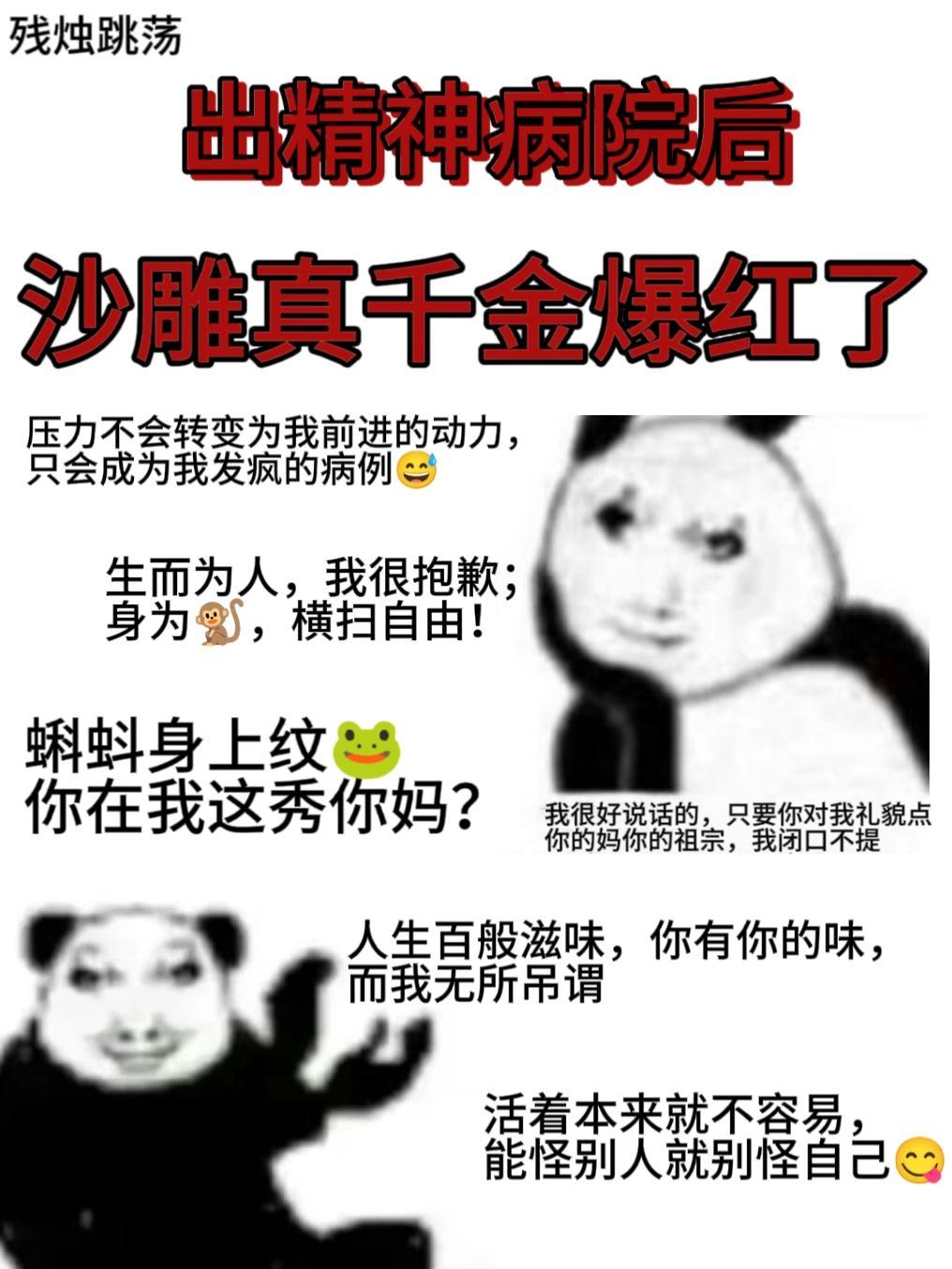 精神病院出走来的强者