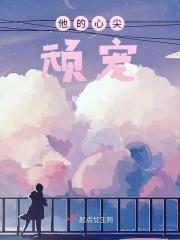 他的心尖宠完整版