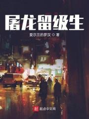 屠龙多少级