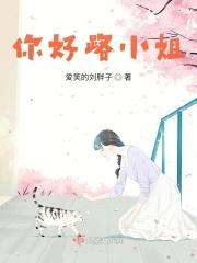 你好小姐电视剧小姐