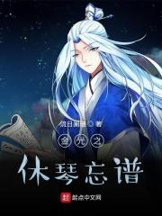金光布袋戏休琴忘谱