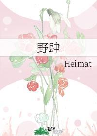 野肆乐队