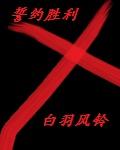 誓约胜利之剑外形描写