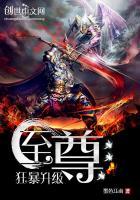 至尊狂神的全部修炼等级