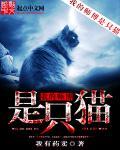 我的师傅是只猫动漫