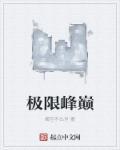极限巅峰手机版