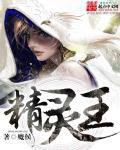 精灵王国单机版破解版