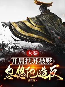 大秦扶苏的次元