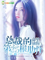 总裁你命中缺我金元宝