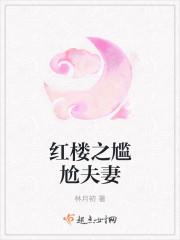 重生之红楼尴尬夫妻