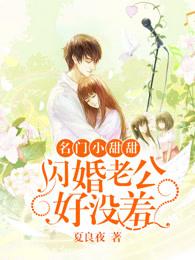 名门甜宠闪婚老公太强势免费有声