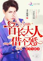 借个婚完结
