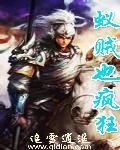 蚁贼百度百科