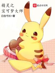 精灵宝可梦之大师之路