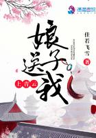 娘子送我上青云完结