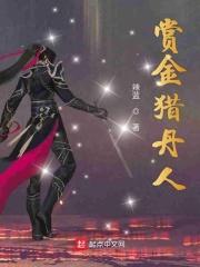 赏金猎人意思