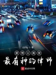 爱情公寓律师精英