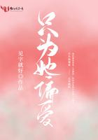 只为她偏爱讲的什么