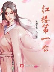 红楼第一梦的主要内容