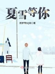 等待夏季雪免费