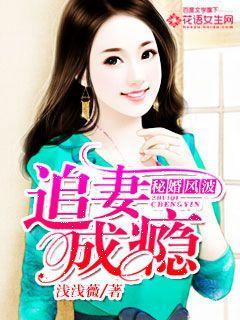 秘婚讲的什么